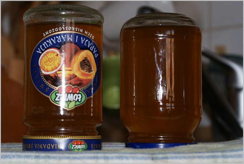 mniszek_2011_05e.jpg